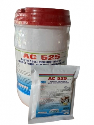 AC 525 - ĐẶC TRỊ VIÊM RUỘT HOẠI TỬ